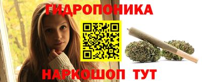 мдпв Гай