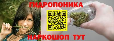 мдпв Гай