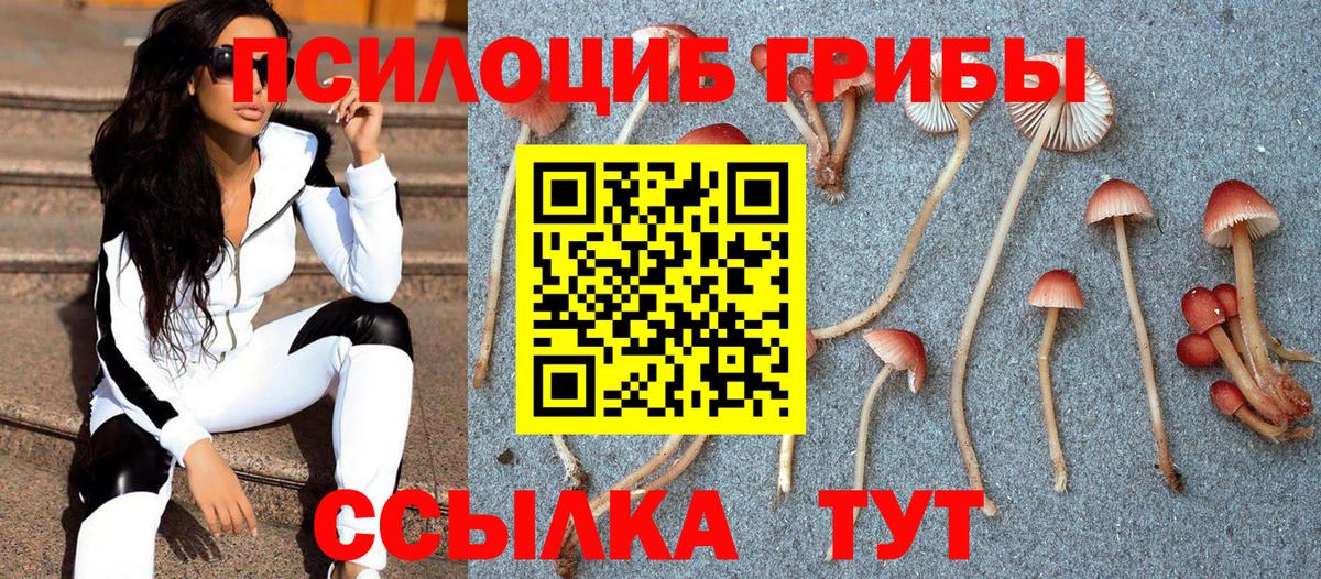 Галлюциногенные грибы Psilocybine cubensis Киреевск